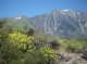 imgp7894_small.jpg