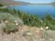 imgp7897_small.jpg