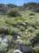 imgp7902_small.jpg