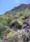 imgp7903_small.jpg