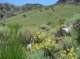 imgp7905_small.jpg