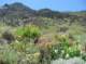 imgp7906_small.jpg