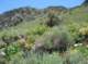 imgp7907_small.jpg