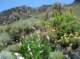 imgp7908_small.jpg