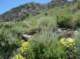imgp7909_small.jpg