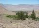 imgp7956_small.jpg