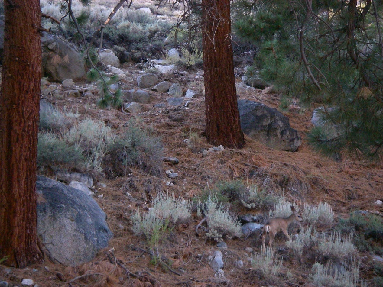 imgp7965.jpg