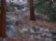 imgp7965_small.jpg