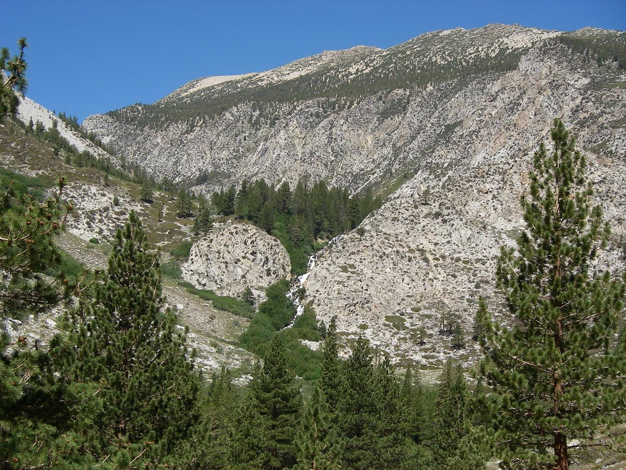 imgp7975.jpg