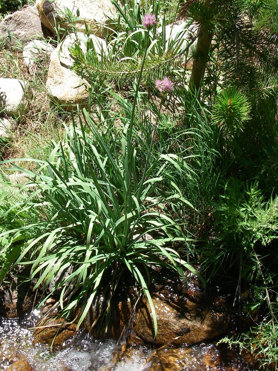imgp7985.jpg
