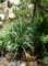 imgp7985_small.jpg