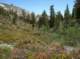 imgp7987_small.jpg