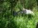 imgp7988_small.jpg