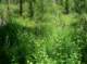 imgp7989_small.jpg