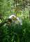 imgp7993_small.jpg