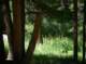 imgp7995_small.jpg
