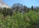 imgp7997_small.jpg