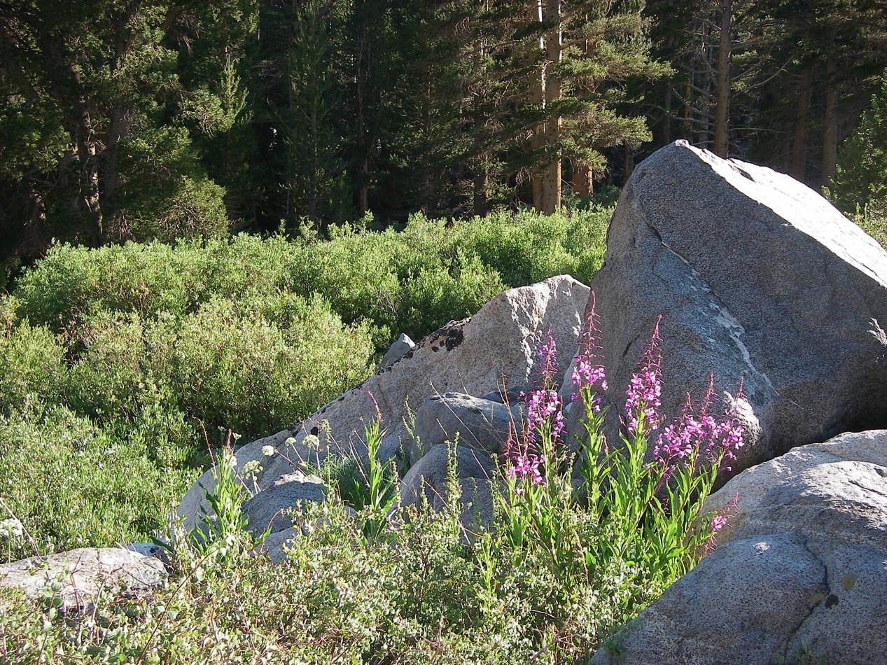 imgp8003.jpg
