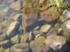 imgp8007_small.jpg