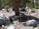 imgp8013_small.jpg