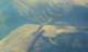 imgp8023_small.jpg