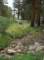 imgp8034_small.jpg