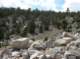 imgp8077_small.jpg