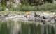 imgp8112_small.jpg
