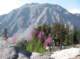 imgp8138_small.jpg