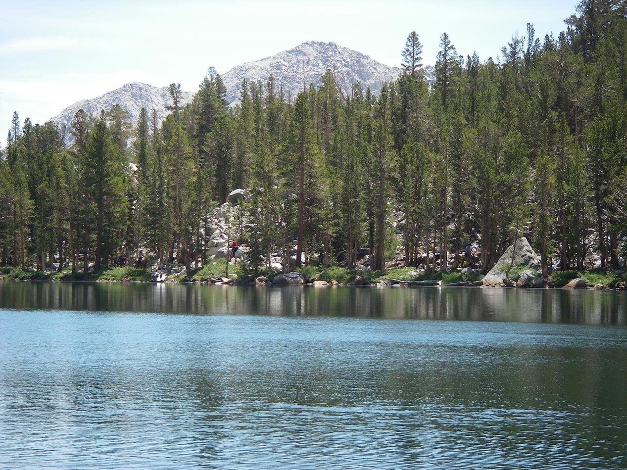 imgp8143.jpg
