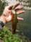 Big Pine Lakes Report 7/22/2013