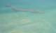 imgp8150_small.jpg