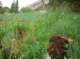 imgp8171_small.jpg