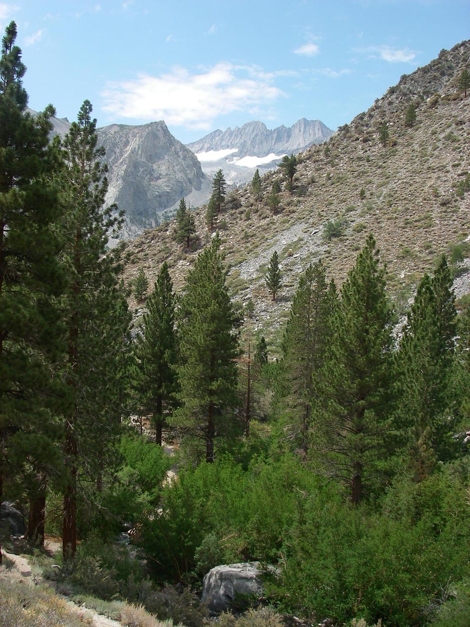 imgp8194.jpg