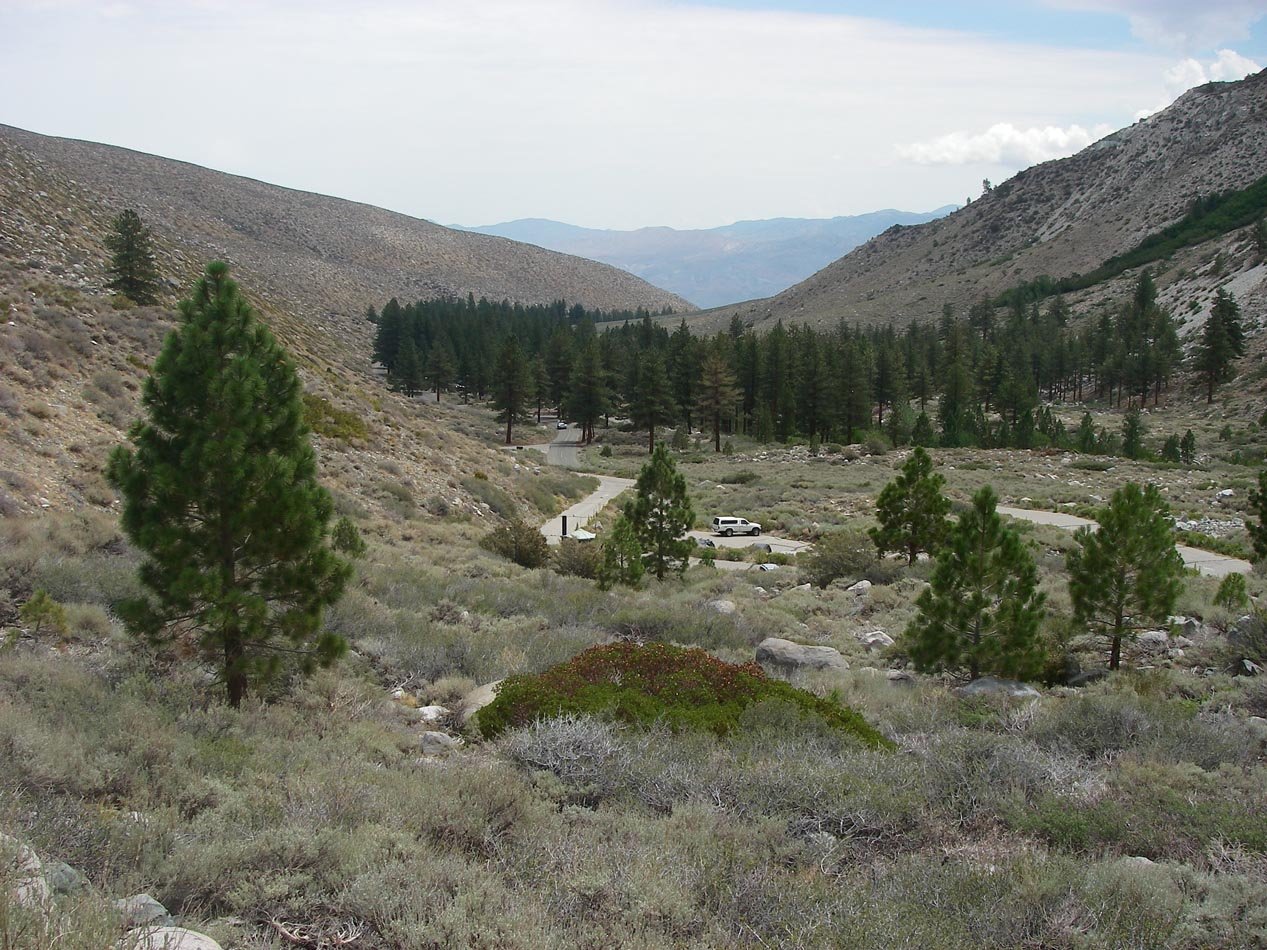 imgp8202.jpg