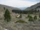 imgp8202_small.jpg