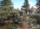 imgp8233_small.jpg