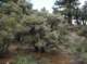 imgp8234_small.jpg