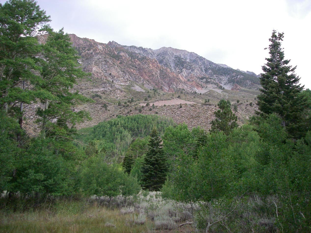 imgp8243.jpg