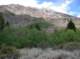 imgp8253_small.jpg