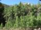 imgp8270_small.jpg