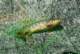 imgp8273_small.jpg