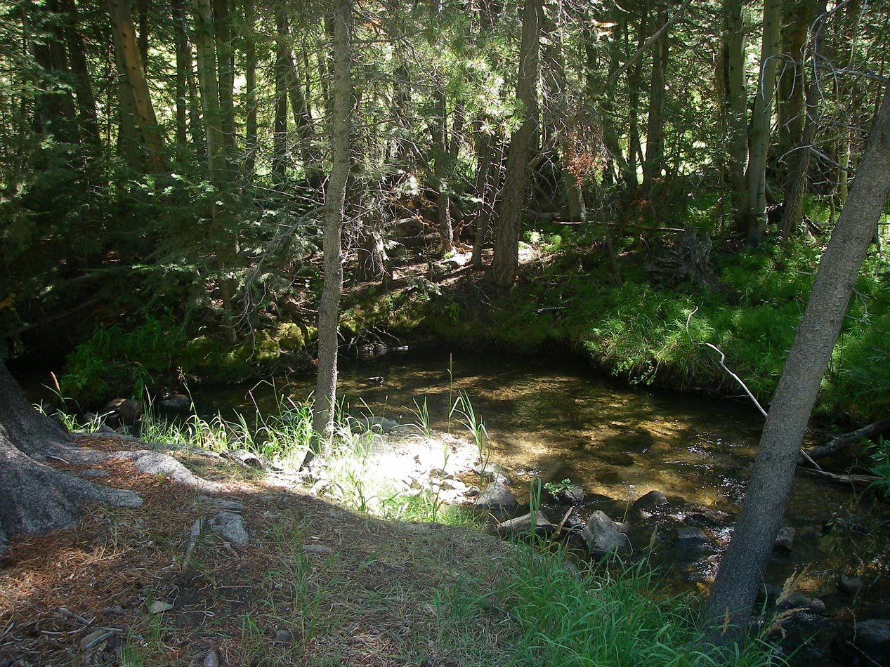 imgp8290.jpg