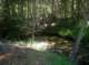 imgp8290_small.jpg