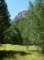 imgp8291_small.jpg