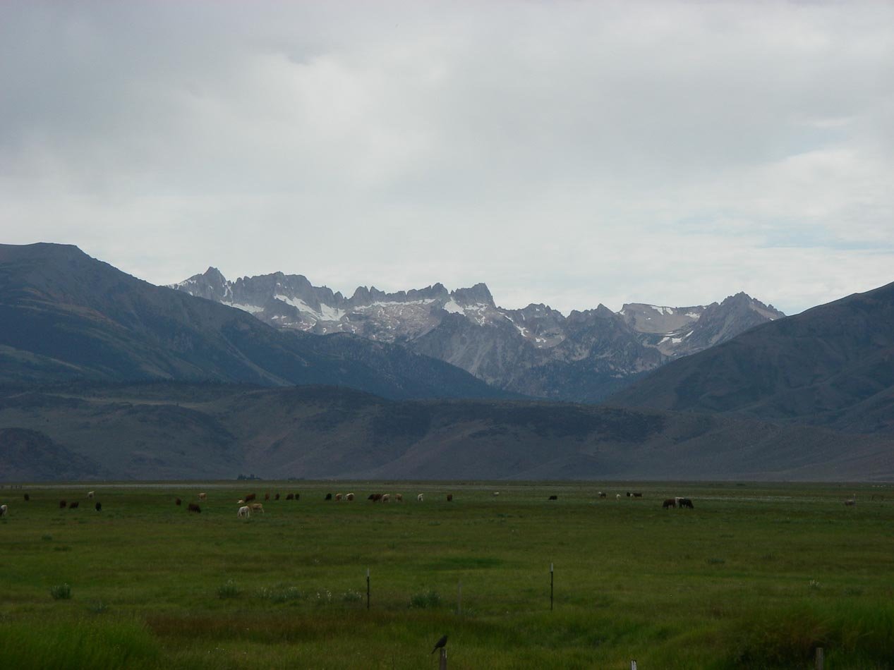 imgp0094.jpg