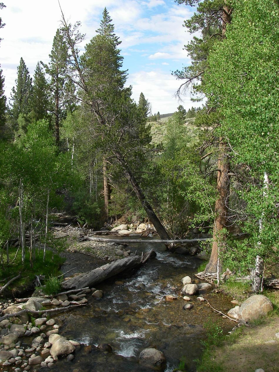 imgp0095.jpg