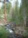 imgp0096_small.jpg