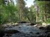 imgp0098_small.jpg