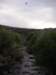 imgp0109_small.jpg